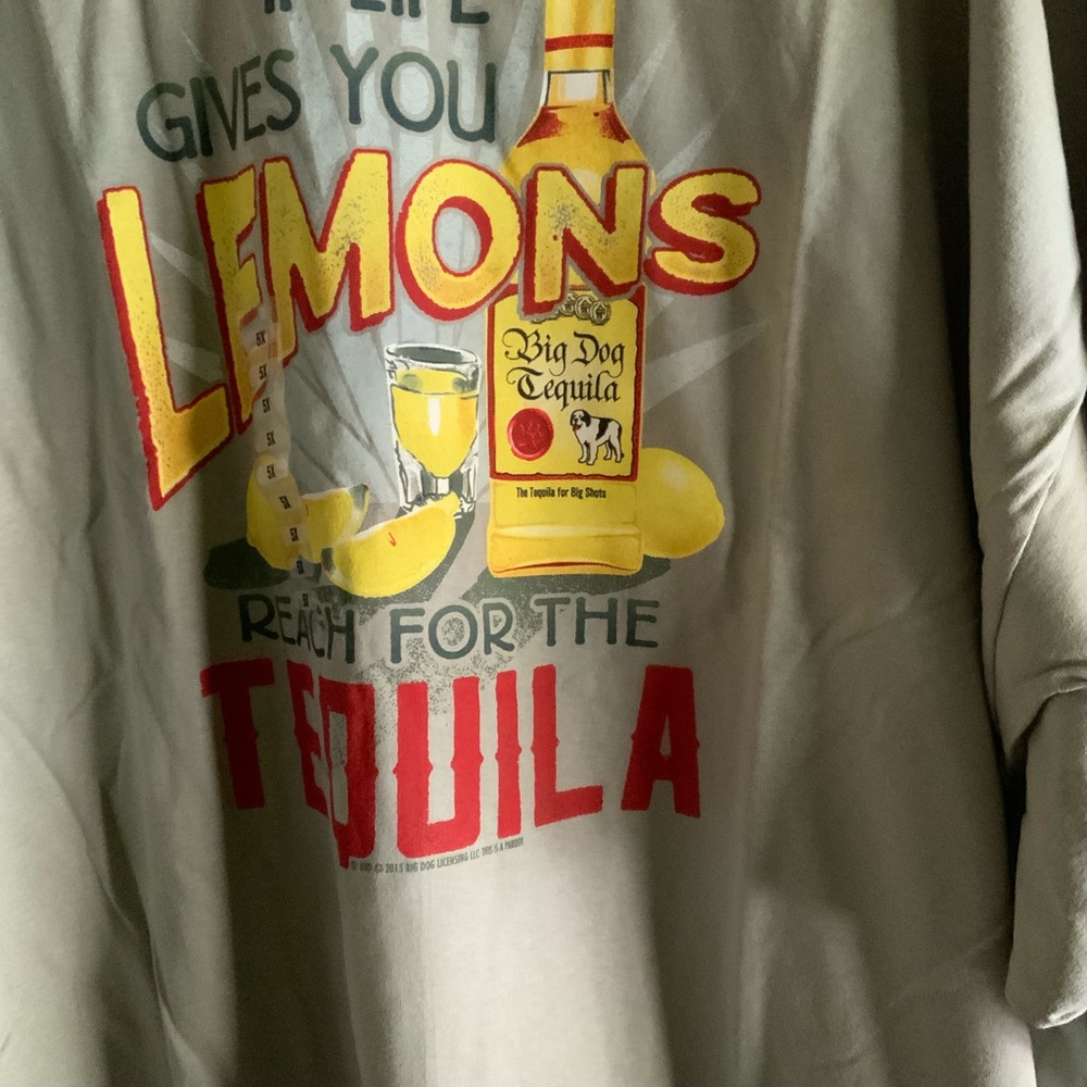 Big Dogs Gray Short Sleeve Tee